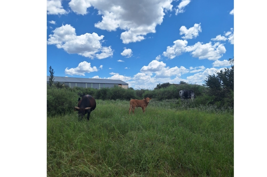 0 Bedroom Property for Sale in Klerksdorp Rural North West